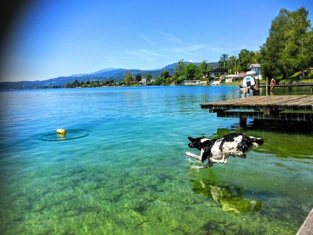 Appartements Allmaier Pörtschach am Wörthersee Exteriör bild